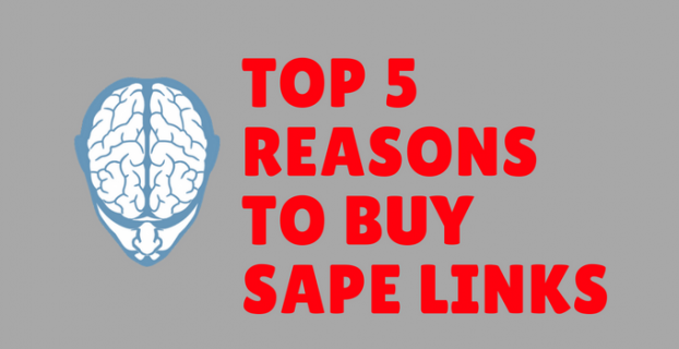 Top 5 Reasons You Should Buy SAPE Links